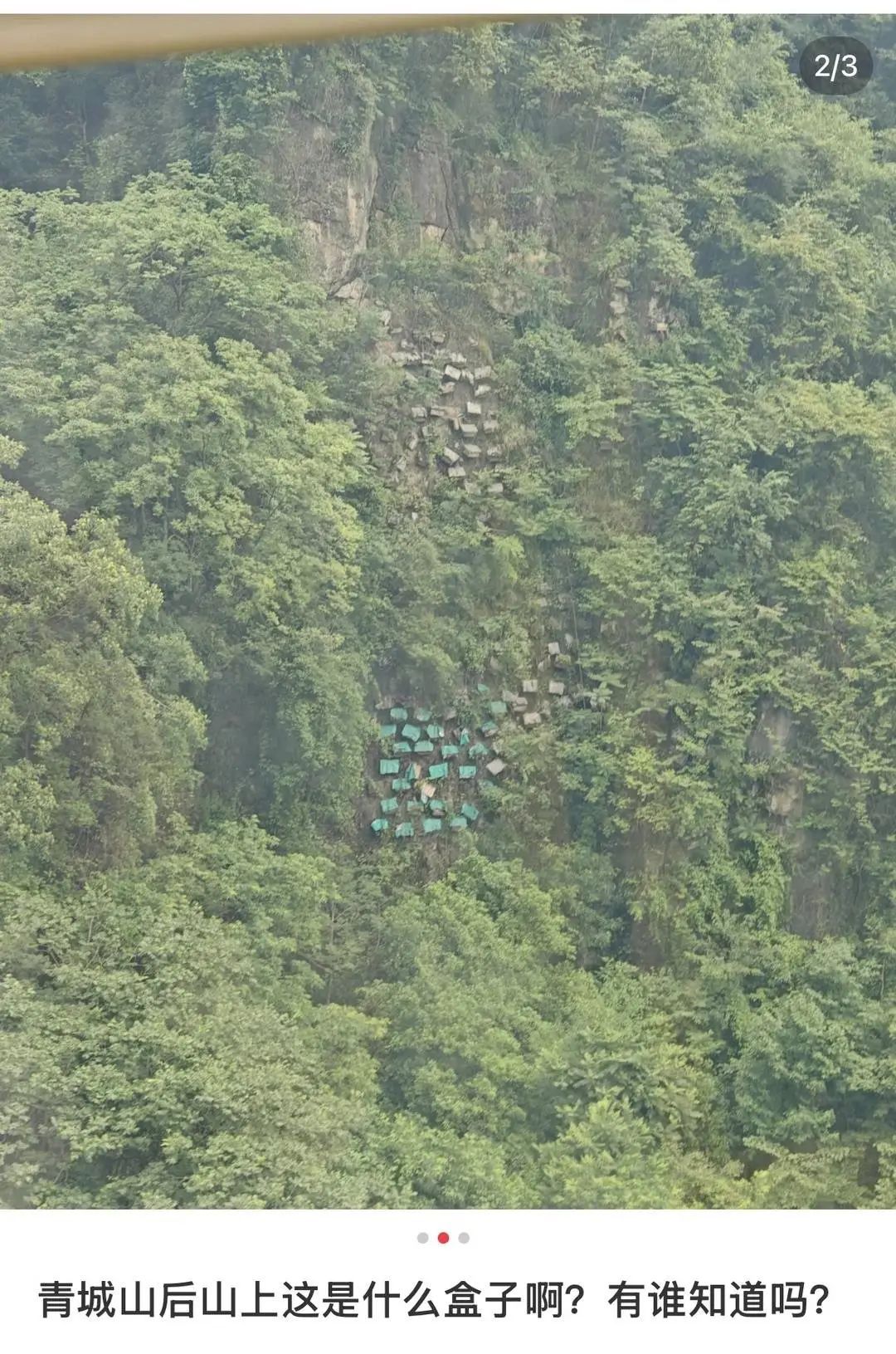 青城后山悬崖上有“悬棺”?景区回应 青城后山悬崖上有“悬棺”?景区回应