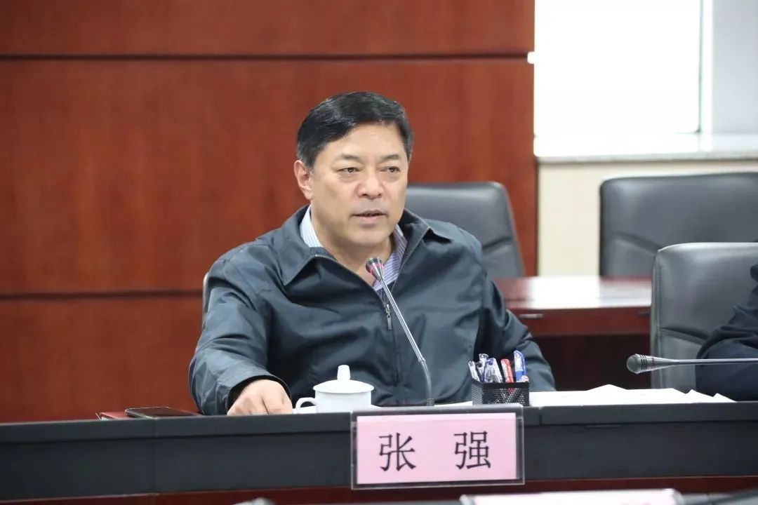 严重职务违法,张强被“双开” 严重职务违法,张强被“双开”