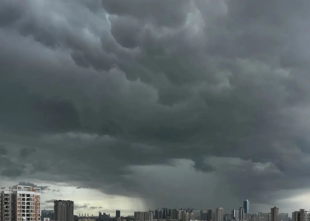 台风“蝴蝶”路径有变！广东超百个台风预警生效→