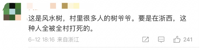 近400岁古树“暴毙”后，老板前来询购……真相让人愤怒！