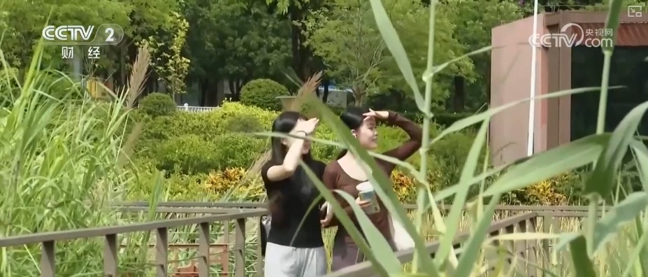 如何有效防晒？怎样利于维生素D合成与钙吸收？“分寸”拿捏