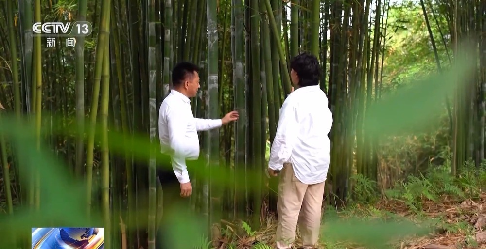 连摩托车宣传册都不够发了！外贸优品这样打开国内新市场