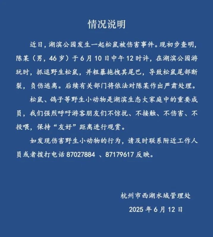 陈某（男，46岁）粗暴拽断松鼠尾巴，已被处理！