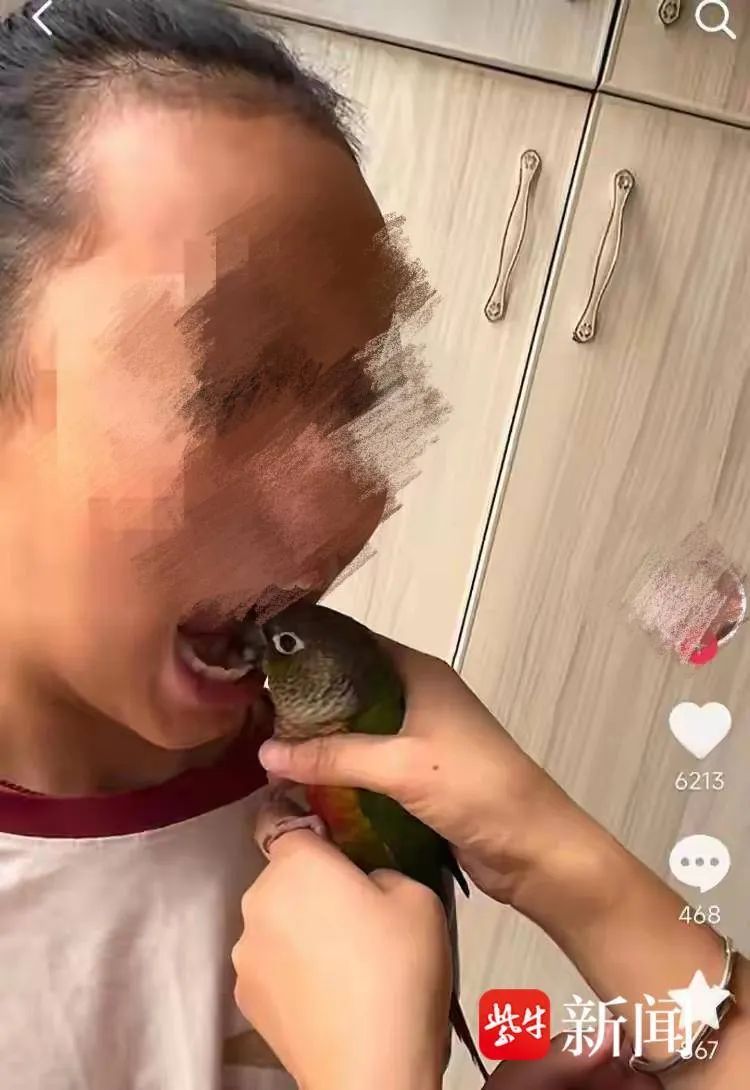 离谱！女子竟用鹦鹉给孩子拔牙，专家紧急提醒