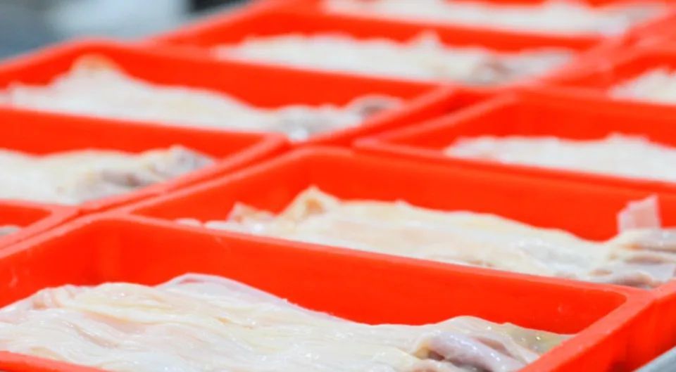 为什么一只活鸭上百元，一只烤鸭只要25元？