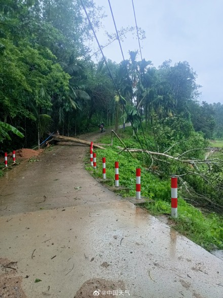 特大暴雨+10级大风!五指山遭台风“蝴蝶”袭击 高压线倒伏多村断电 特大暴雨+10级大风!五指山遭台风“蝴蝶”袭击 高压线倒伏多村断电