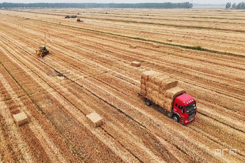 北斗导航绘制“丰收图景” 农机驰骋助力“三夏”颗粒尽归仓 北斗导航绘制“丰收图景” 农机驰骋助力“三夏”颗粒尽归仓
