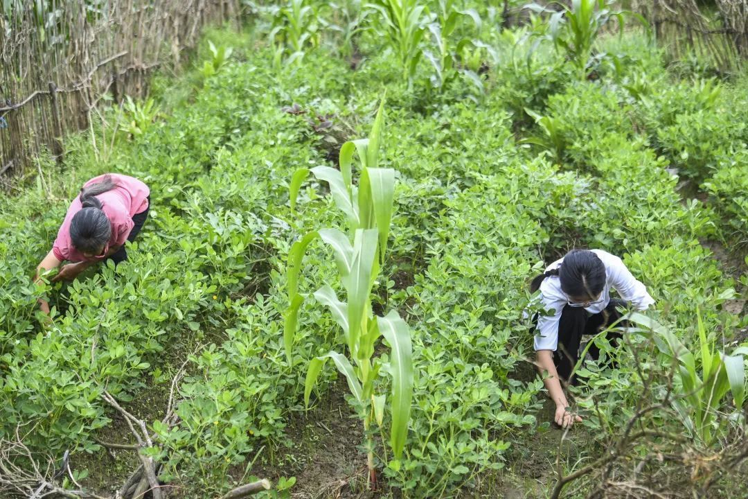 全网追的“扁担女孩”，找到了！
