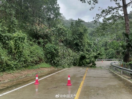 特大暴雨+10级大风!五指山遭台风“蝴蝶”袭击 高压线倒伏多村断电 特大暴雨+10级大风!五指山遭台风“蝴蝶”袭击 高压线倒伏多村断电