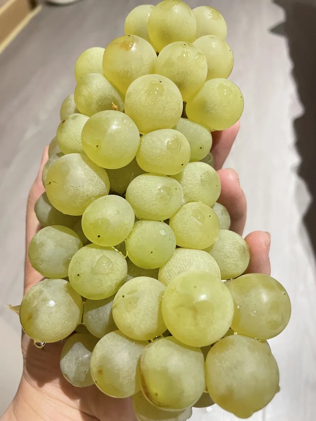 《长安的荔枝》越看越馋？快来解锁贵州夏季水果图鉴，实现“水果自由”！
