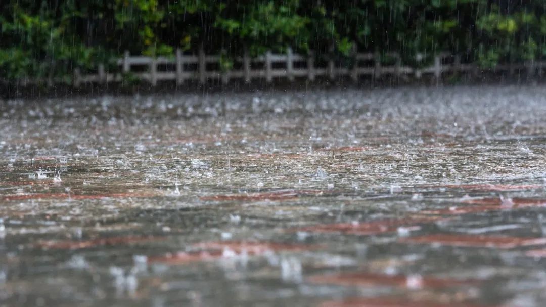 暴雨来袭，开车出门前先看看这个→