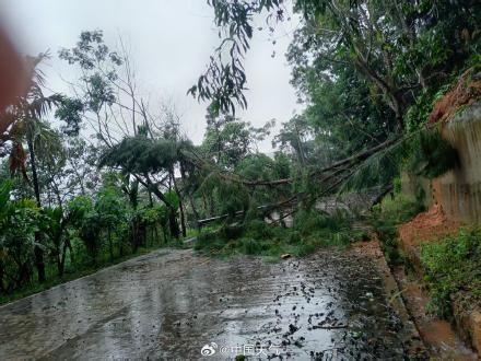 特大暴雨+10级大风!五指山遭台风“蝴蝶”袭击 高压线倒伏多村断电 特大暴雨+10级大风!五指山遭台风“蝴蝶”袭击 高压线倒伏多村断电