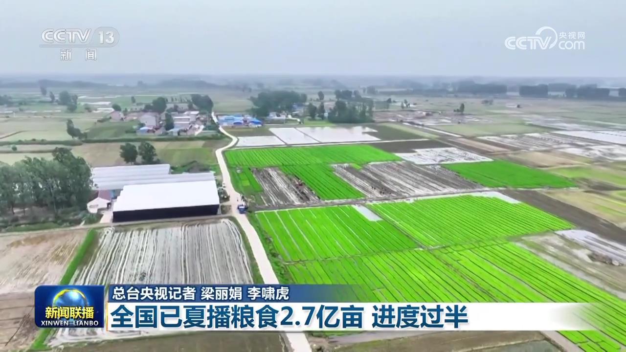 全国已夏播粮食2.7亿亩 进度过半 全国已夏播粮食2.7亿亩 进度过半