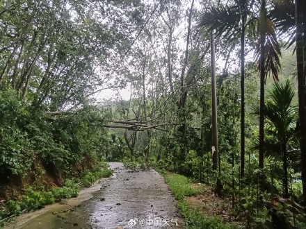 特大暴雨+10级大风!五指山遭台风“蝴蝶”袭击 高压线倒伏多村断电 特大暴雨+10级大风!五指山遭台风“蝴蝶”袭击 高压线倒伏多村断电