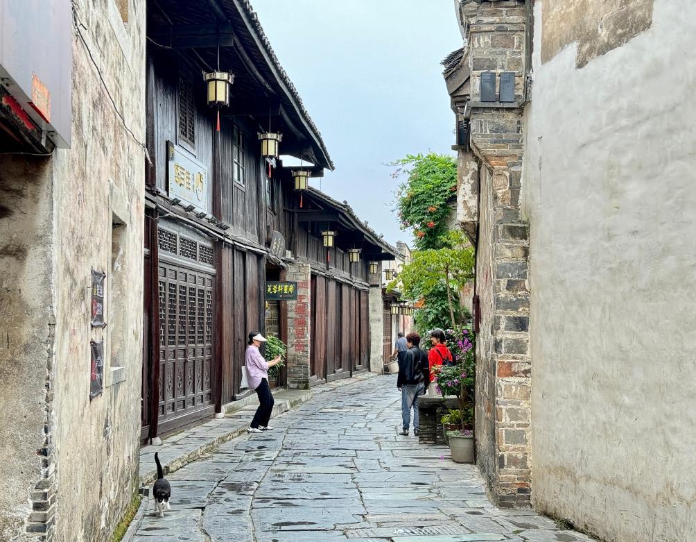 三湘四水间，文化遗产何以焕发新活力？