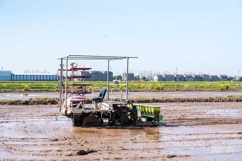 北斗导航绘制“丰收图景” 农机驰骋助力“三夏”颗粒尽归仓 北斗导航绘制“丰收图景” 农机驰骋助力“三夏”颗粒尽归仓