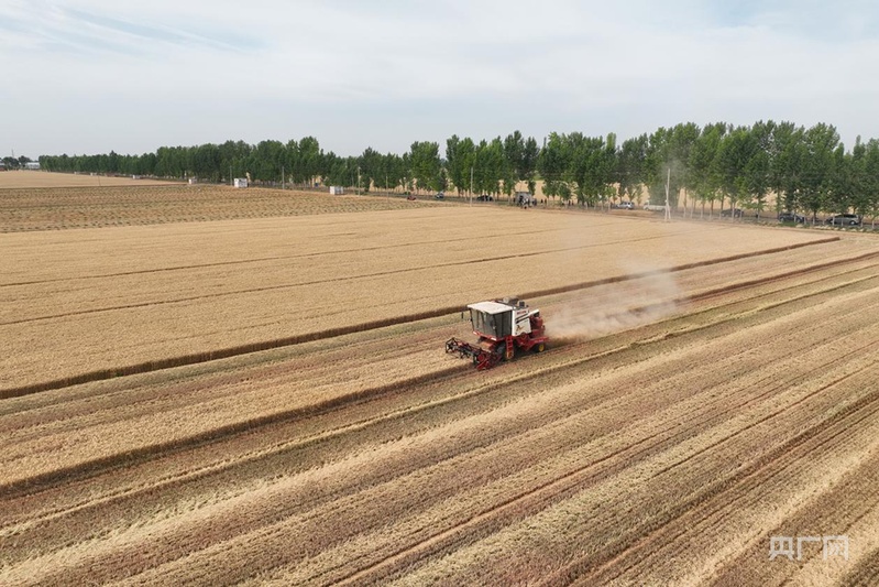 北斗导航绘制“丰收图景” 农机驰骋助力“三夏”颗粒尽归仓 北斗导航绘制“丰收图景” 农机驰骋助力“三夏”颗粒尽归仓