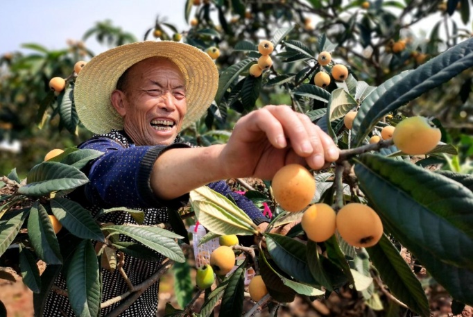 《长安的荔枝》越看越馋？快来解锁贵州夏季水果图鉴，实现“水果自由”！