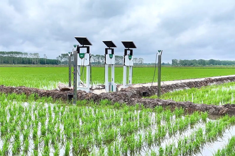 北斗导航绘制“丰收图景” 农机驰骋助力“三夏”颗粒尽归仓 北斗导航绘制“丰收图景” 农机驰骋助力“三夏”颗粒尽归仓