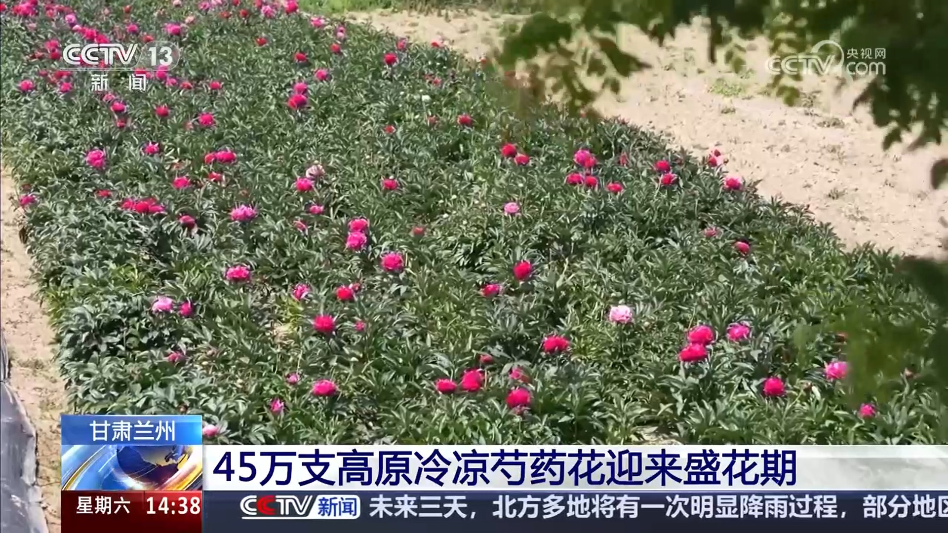 “空中农夫”上岗、智能设备“把脉” 新技术新装备竞技田间 “空中农夫”上岗、智能设备“把脉” 新技术新装备竞技田间