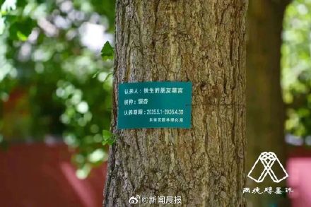 “铁生的朋友”莫言真的在地坛认养了一棵树
