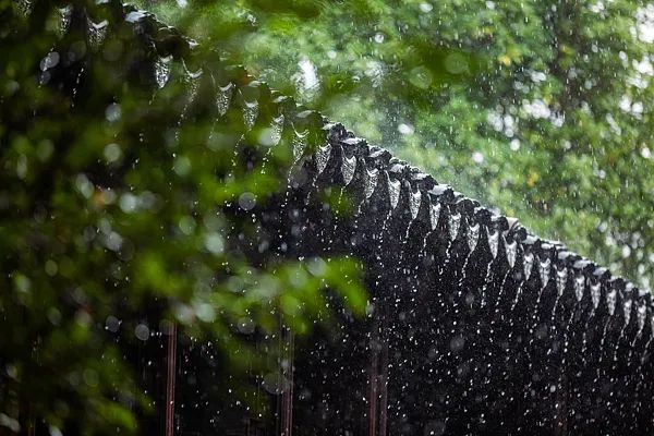 中到大雨+暴雨！河北大范围降雨来了，接下来……