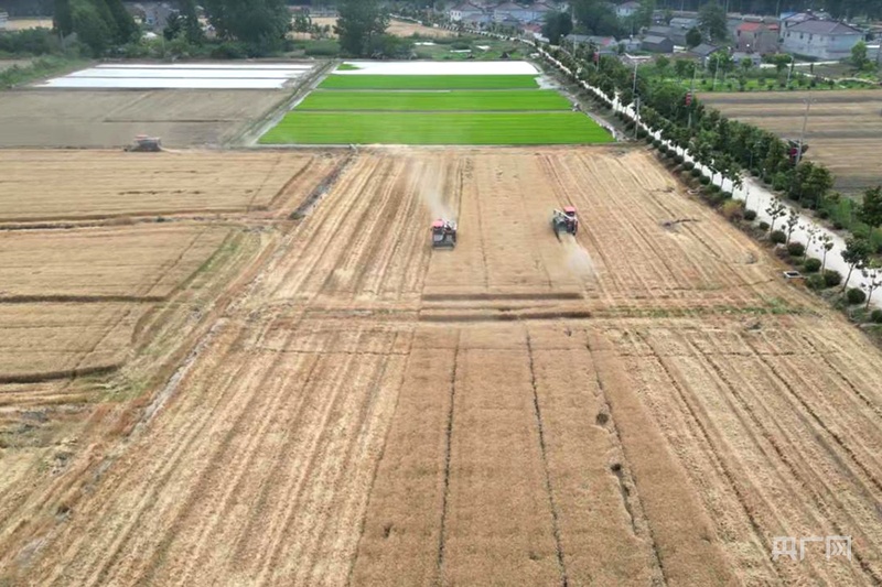 北斗导航绘制“丰收图景” 农机驰骋助力“三夏”颗粒尽归仓 北斗导航绘制“丰收图景” 农机驰骋助力“三夏”颗粒尽归仓