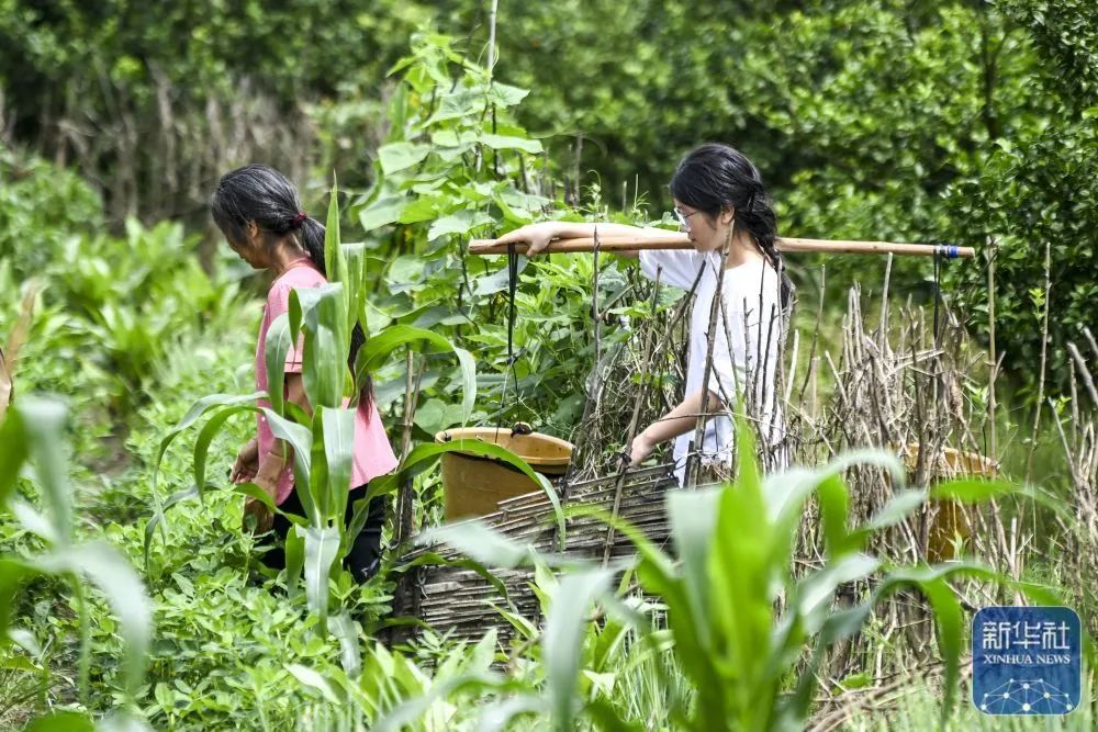 火遍全网的“扁担女孩”，婉拒资助后，找了一份暑假工，时薪12元