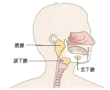 一吃东西就肿痛!福州王先生确诊!真没想到会这样…… 一吃东西就肿痛!福州王先生确诊!真没想到会这样……