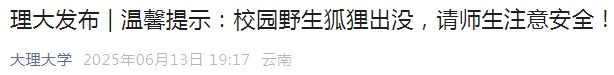 注意安全！云南一高校有野生狐狸出没
