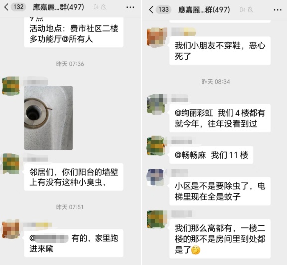 “恶心死了！”不少浙江人家里被“入侵”，墙壁窗户全部爬满！还有一股臭味