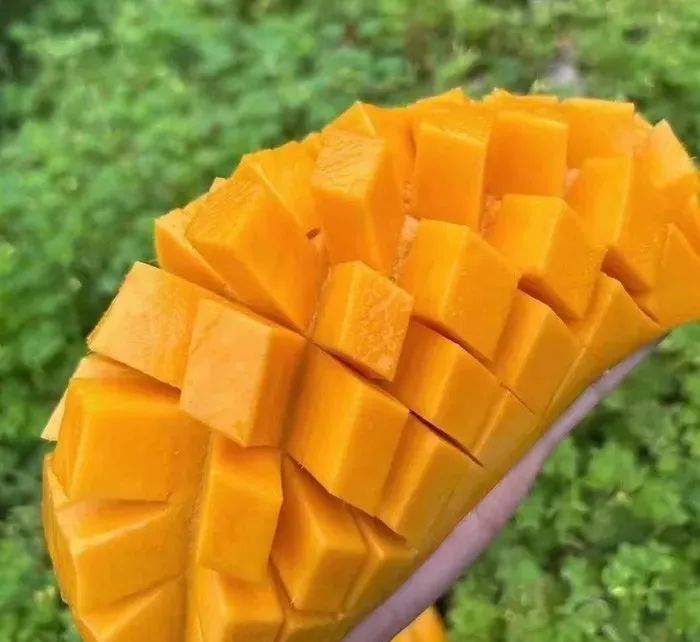 《长安的荔枝》越看越馋？快来解锁贵州夏季水果图鉴，实现“水果自由”！