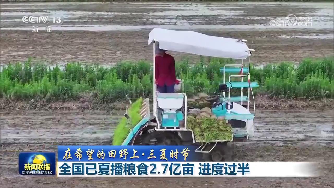 全国已夏播粮食2.7亿亩 进度过半 全国已夏播粮食2.7亿亩 进度过半