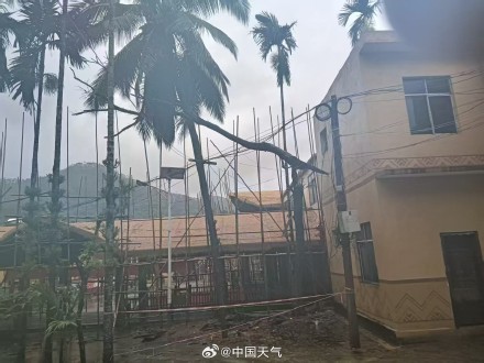 特大暴雨+10级大风!五指山遭台风“蝴蝶”袭击 高压线倒伏多村断电 特大暴雨+10级大风!五指山遭台风“蝴蝶”袭击 高压线倒伏多村断电