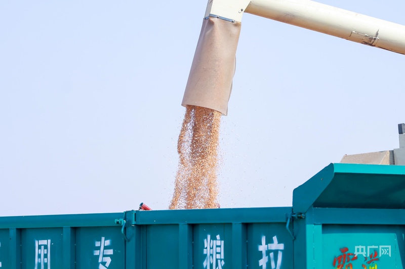 北斗导航绘制“丰收图景” 农机驰骋助力“三夏”颗粒尽归仓 北斗导航绘制“丰收图景” 农机驰骋助力“三夏”颗粒尽归仓