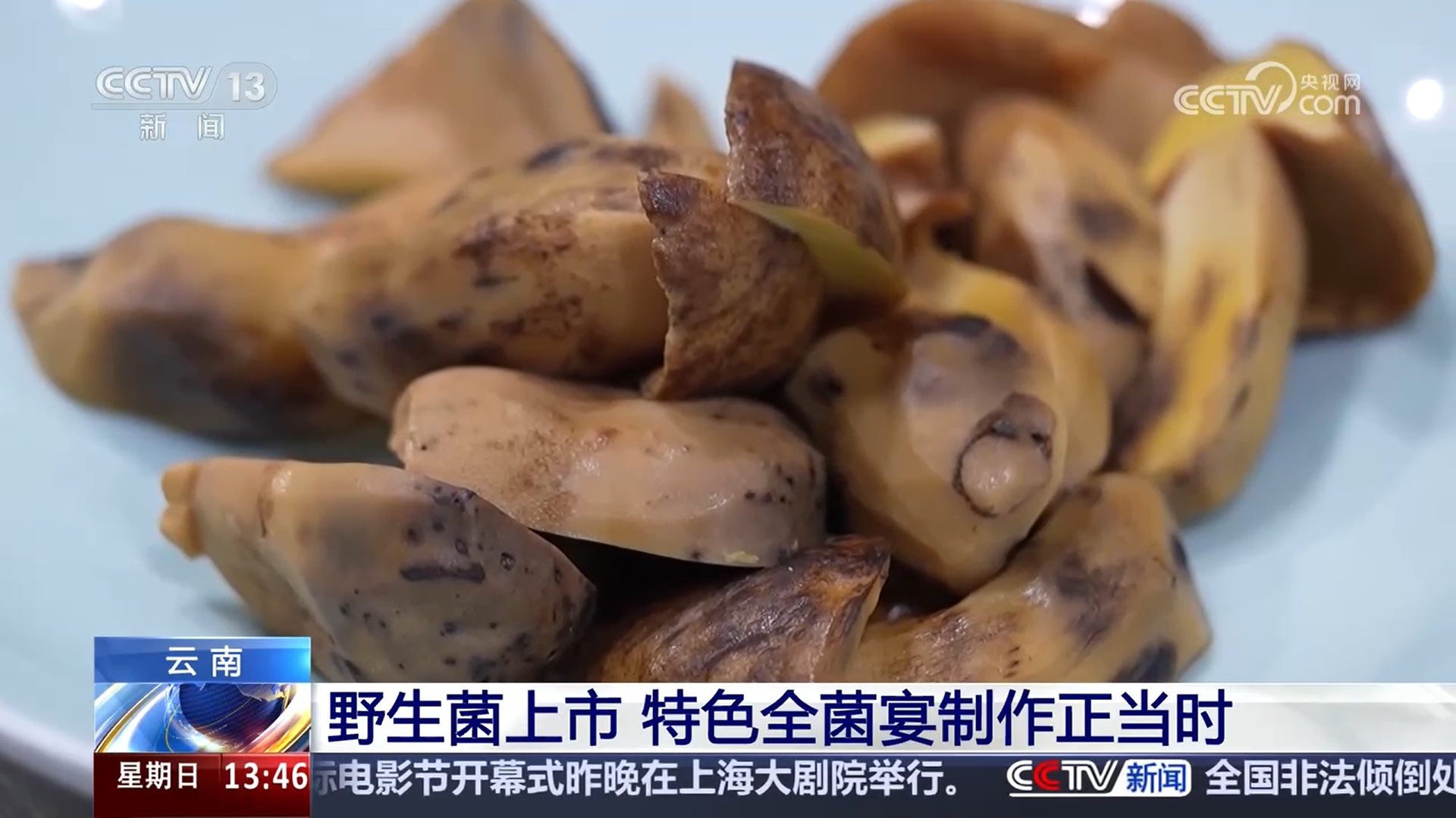 云南野生菌上市吸引游客居民来尝鲜 交易市场迎来小高峰