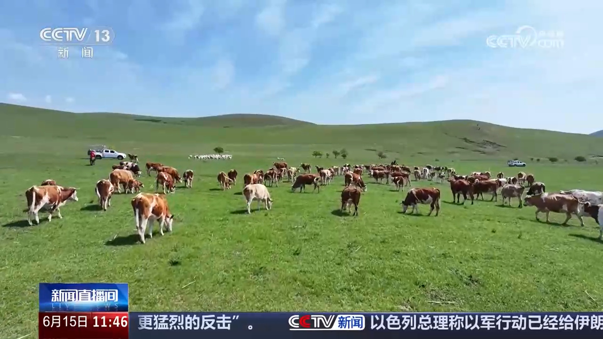 记录草原牧民的夏季转场路 感受人、畜与草原的和谐共生 记录草原牧民的夏季转场路 感受人、畜与草原的和谐共生