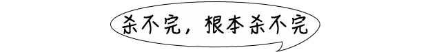 你脸上的面膜，可能是蟑螂做的