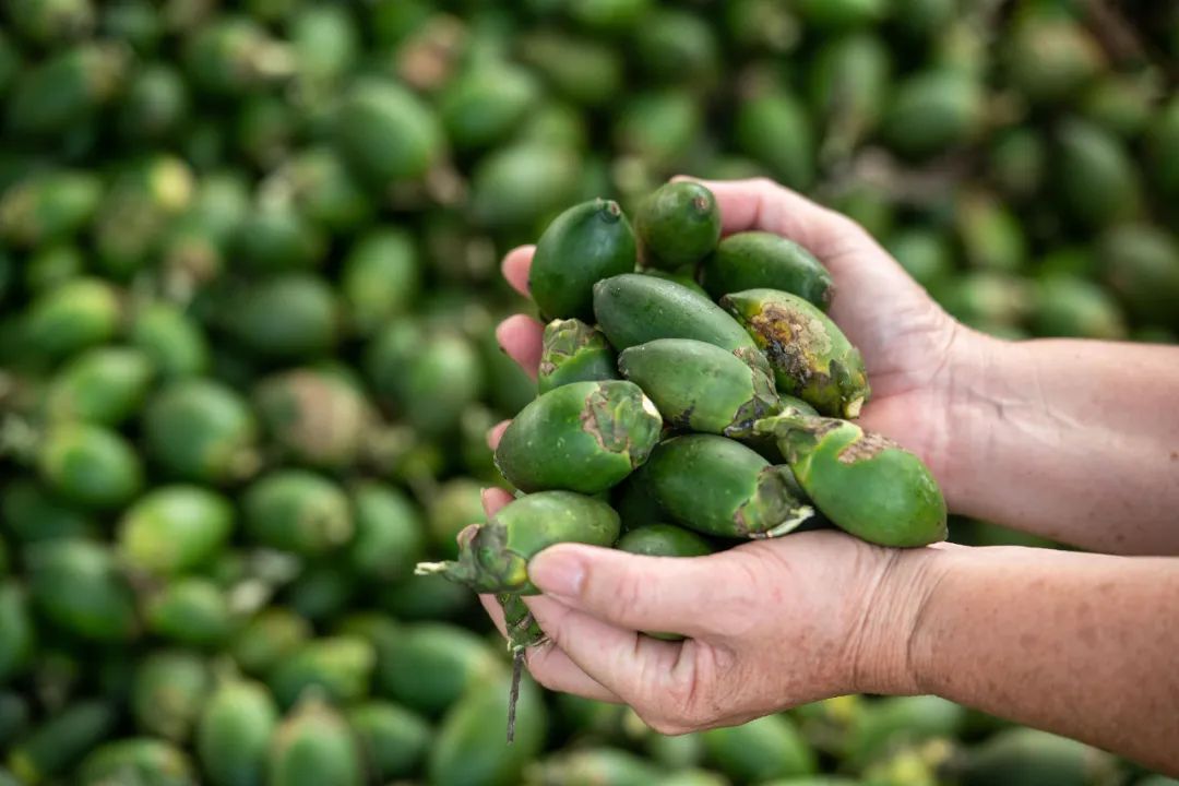 这4种致癌物,很多人天天接触却不知道!你中招没? 这4种致癌物,很多人天天接触却不知道!你中招没?