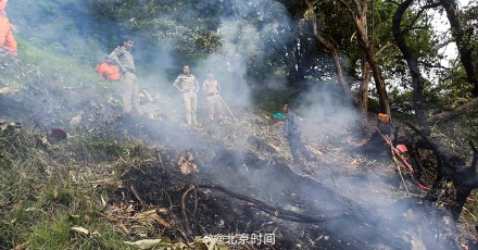 印度一直升机坠毁致多人死亡