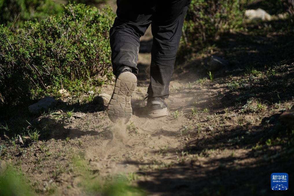 十里山路丈量初心 八载守护传承文明
