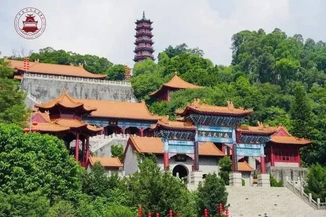 准考证别扔！大湾区各景区为高考考生们送福利