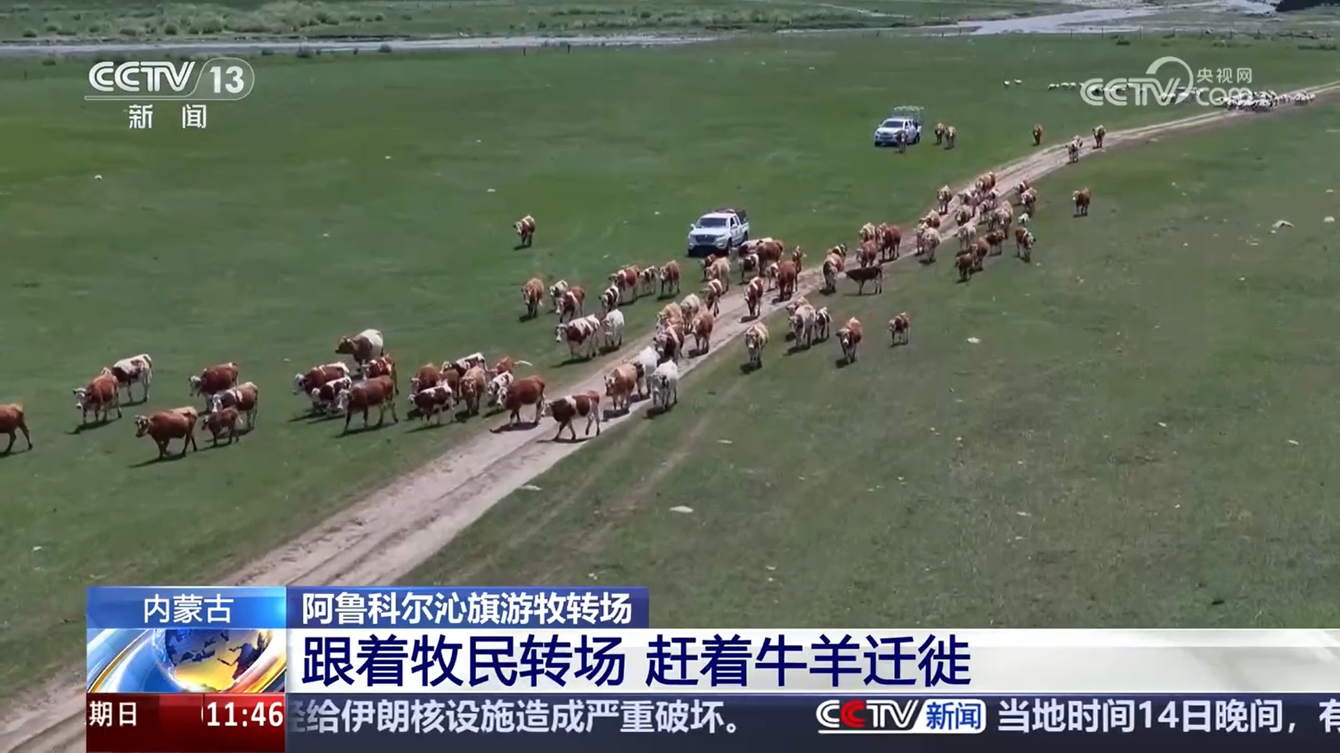 记录草原牧民的夏季转场路 感受人、畜与草原的和谐共生 记录草原牧民的夏季转场路 感受人、畜与草原的和谐共生