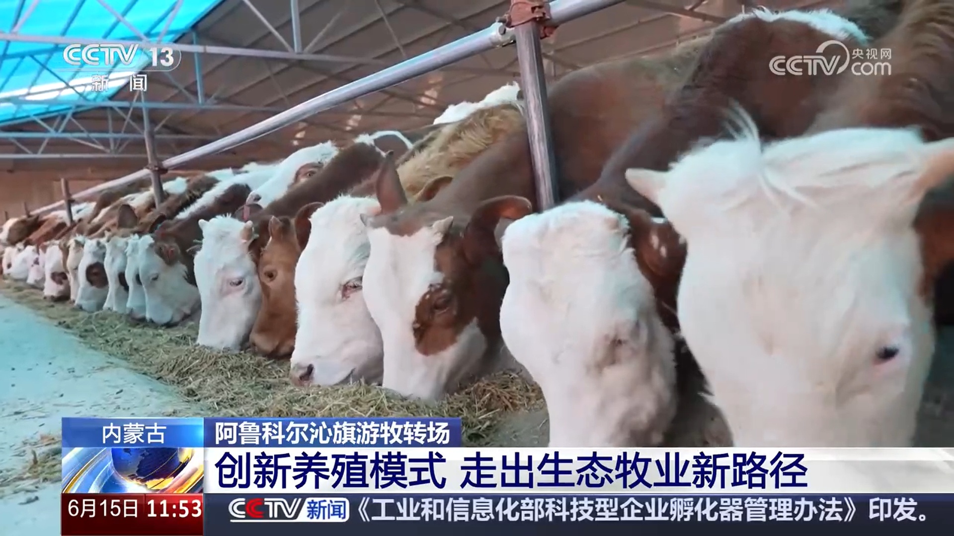 记录草原牧民的夏季转场路 感受人、畜与草原的和谐共生 记录草原牧民的夏季转场路 感受人、畜与草原的和谐共生