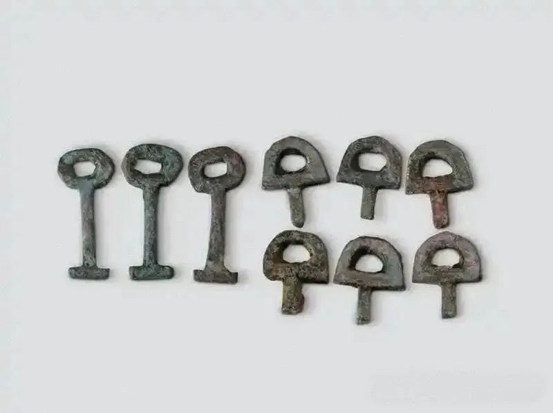 西安考古最新发现！