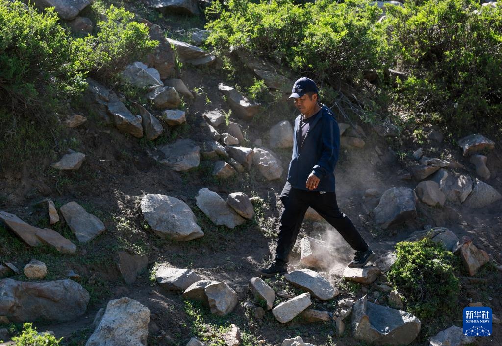 十里山路丈量初心 八载守护传承文明