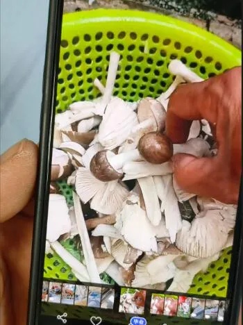 4人接连确诊，严重可致命！多地疾控紧急提醒