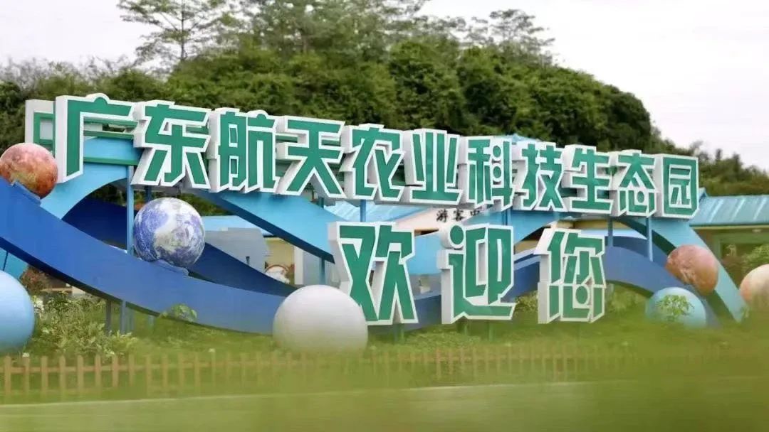准考证别扔！大湾区各景区为高考考生们送福利