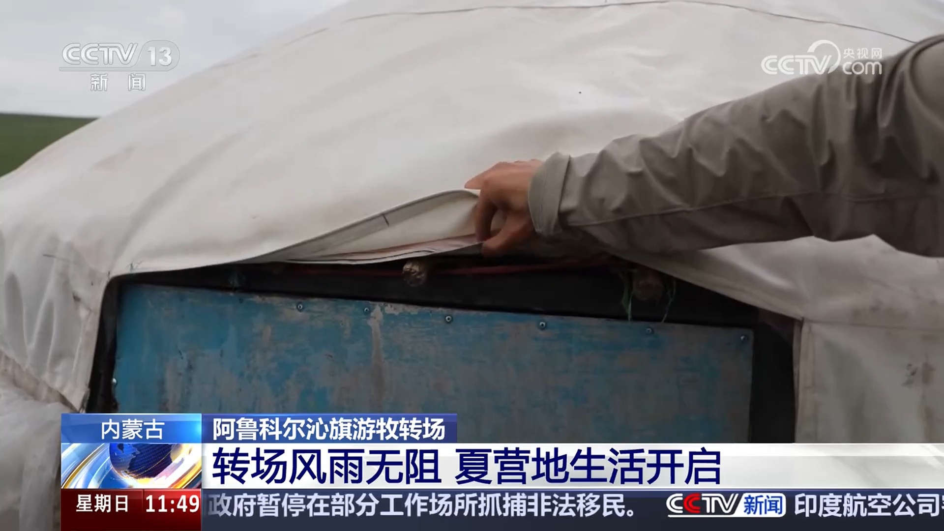 记录草原牧民的夏季转场路 感受人、畜与草原的和谐共生 记录草原牧民的夏季转场路 感受人、畜与草原的和谐共生