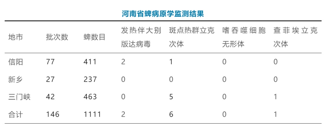 夺命“黑虫”出没,爬山逛公园要小心 夺命“黑虫”出没,爬山逛公园要小心